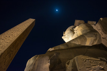 Programma di tour Horus presso specialista egiziano