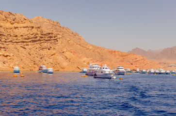 Safari subacquei da Sharm El Sheikh allo specialista egiziano