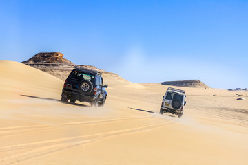 Oasi Safari di Siwa